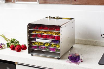 How to choose food dehydrator?